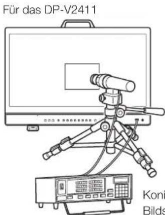 Für das DP-V2411 Koni Bilds