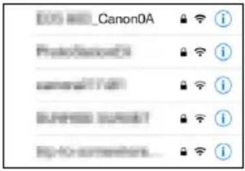 DOS Canon0A PhotoScanout cameraView Browse View1 RIP-IO-combenters...