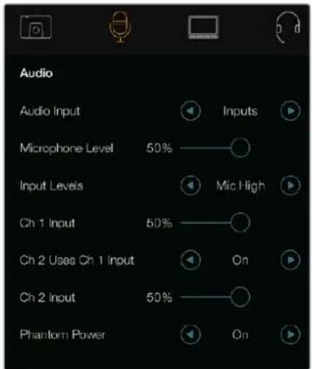 Audio Audio Input Inputs Microphone Level 50% Mic High Input Levels Ch 1 Input 50% On Ch 2 Uses Ch 1 Input Ch 2 Input 50% Phantom Power On