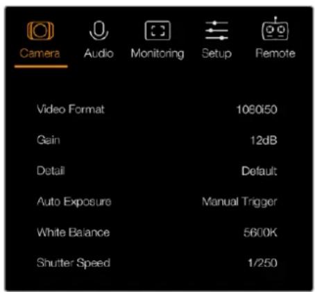 Camera Audio Monitoring Setup Remote Video Format 109050 Gain 12dB Detail Default Auto Exposure Manual Trigger White Balance 5600K Shutter Speed 1/250