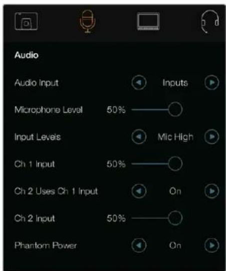 Audio Audio Input Inputs Microphone Level 50% Mic High Input Levels Ch 1 Input 50% On Ch 2 Uses Ch 1 Input Ch 2 Input 50% On Phantom Power