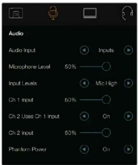 Audio Audio Input Microphone Level 50% Input Levels Ch 1 Input 50% Ch 2 Uses Ch 1 Input Ch 2 Input 50% Phantom Power Inputs Mic High On On