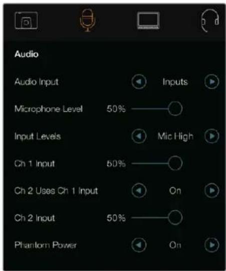 Audio Audio Input Inputs Microphone Level 50% Input Levels Mic High Ch 1 Input 50% On Ch 2 Uses Ch 1 Input 50% On Ch 2 Input Phantom Power