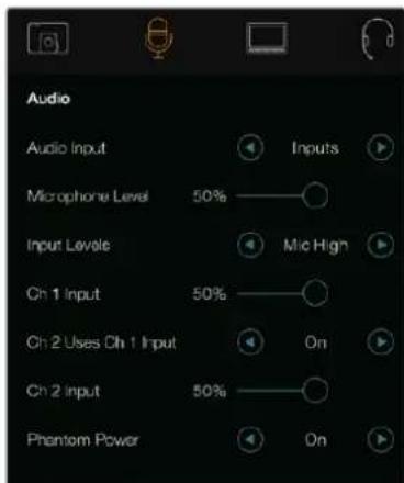 Audio Audio Input Inputs Microphone Level 50% Input Levels Mic High Ch 1 Input 50% On Ch 2 Uses Ch 1 Input 50% On Ch 2 input Phantom Power