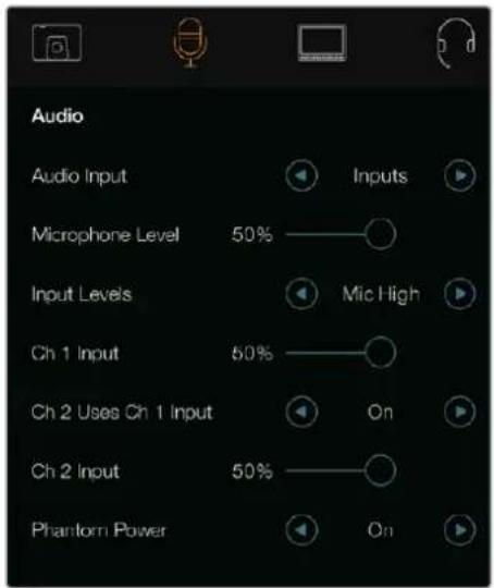 Audio Audio Input Inputs Microphone Level 50% Mic High Input Levels Ch 1 Input 50% On Ch 2 Uses Ch 1 Input Ch 2 Input 50% On Phantom Power