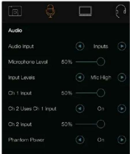 Audio Audio Input Inputs Microphone Level 50% Mic High Input Levels Ch 1 Input 50% On Ch 2 Uses Ch 1 Input Ch 2 Input 50% Phantom Power On