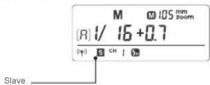 M 105 mm zoom (R) 1/ 16 +0.7 (↑) S CH I 0m Slave
