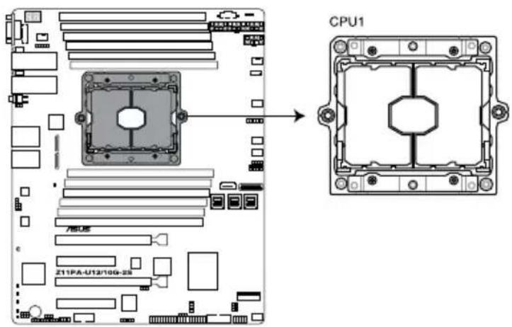 ASUS Z11PA-U12 - Installing the CPU and heatsink - 1