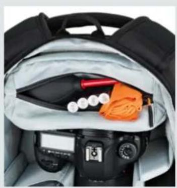 Lowepro Flipside 300 AW II - Flipside Series - 3