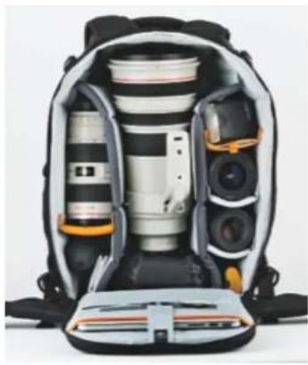 Lowepro Flipside 300 AW II - Flipside Series - 1