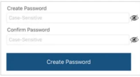 SecureData SecureDrive BT - Creating a Password after a Reset (Blank Drive) - 3