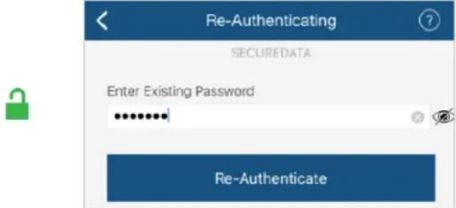 SecureData SecureDrive BT - Locking without Unplugging from the Computer - 4