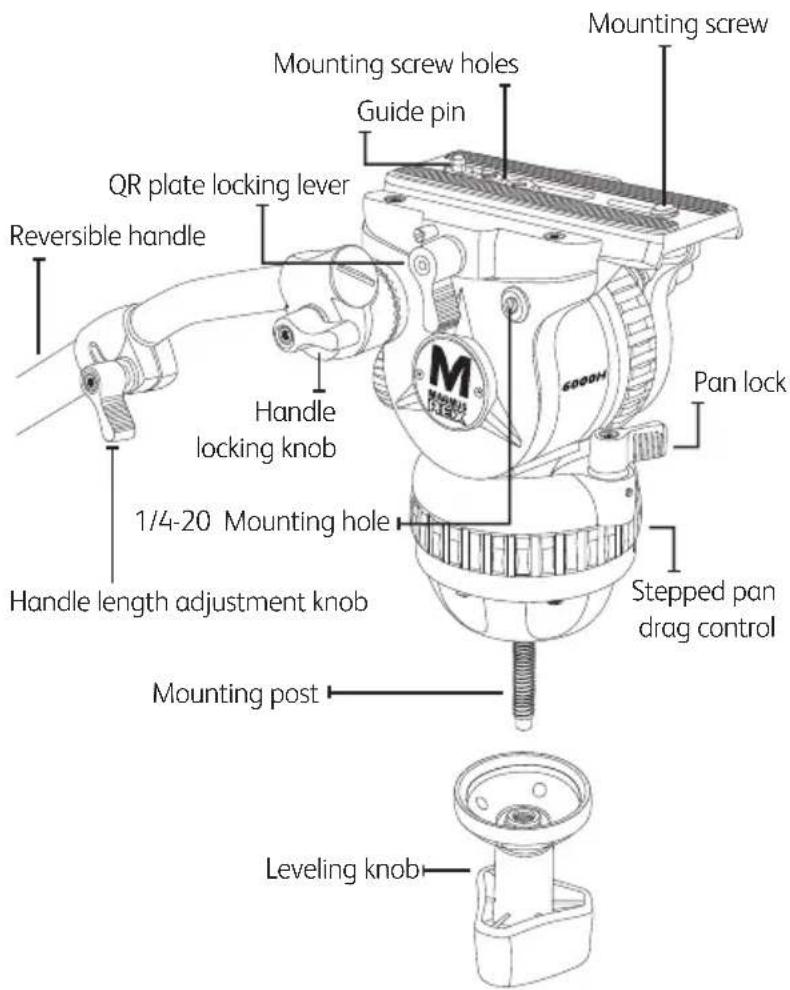 Magnus REX VT-6000 - Specifications - 2