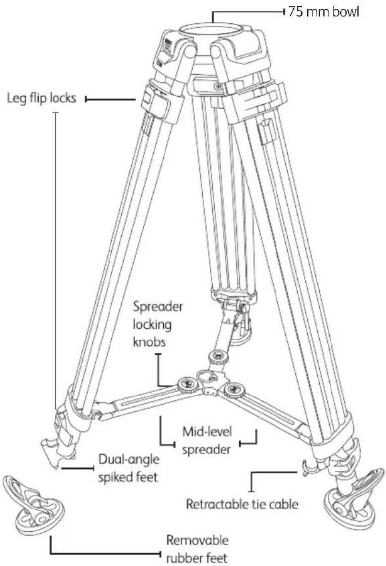 Magnus REX VT-6000 - Tripod (TL750A) - 1