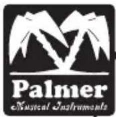 Palmer Pocket Amp Acoustic - DEFINE YOUR TONE - 1