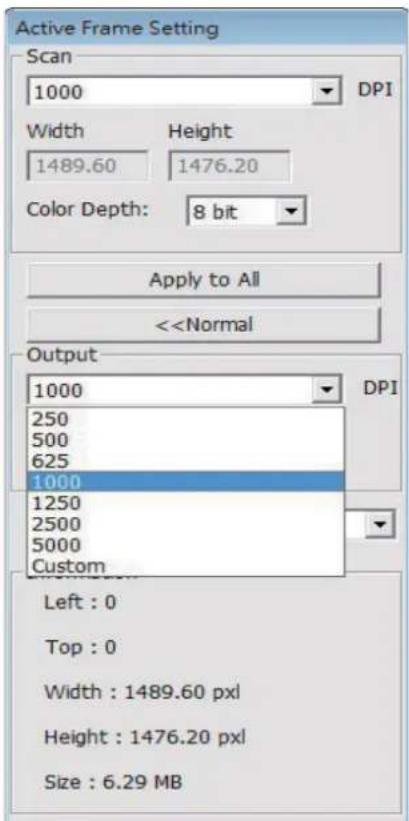Active Frame Setting Scan 1000 DPI Width Height 1489.60 1476.20 Color Depth: 8 bit Apply to All