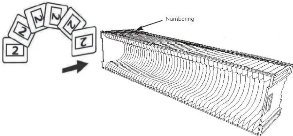 2 2 N N N 2 Numbering