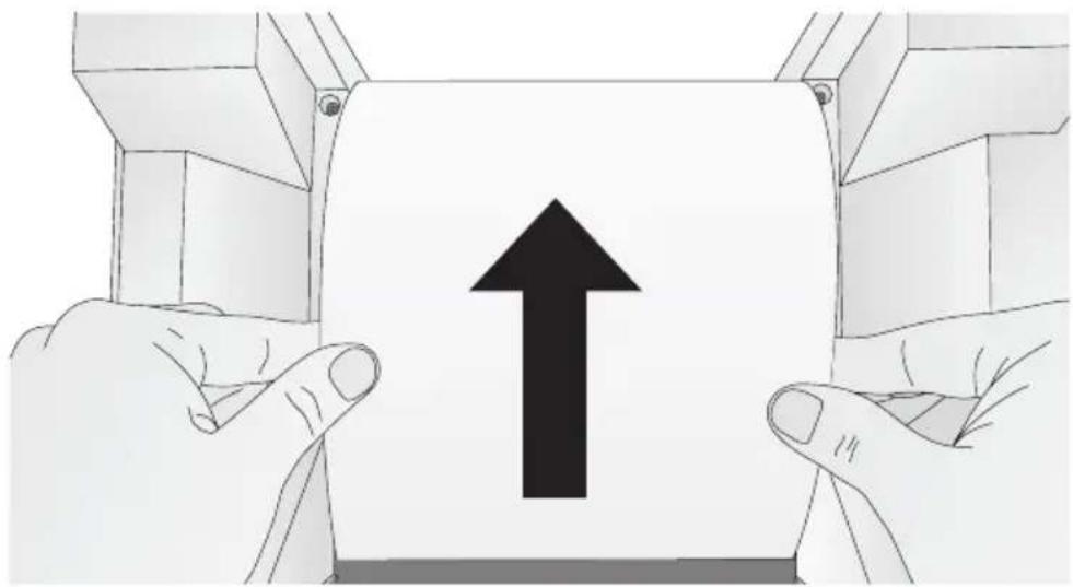 PRIMERA Impressa IP60 - REMOVING A ROLL OF PAPER - 1