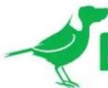 BirdDog Mini - 2