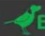 BirdDog Studio NDI - FIRMWARE UPDATE - 3