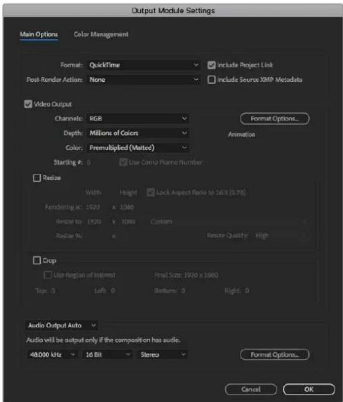 Output Module Settings Main Options Color Management Format: QuickTime Include Project Link Post-Render Action: None Include Source XMP Metadata Video Output Channels: RGB Depth: Millions of Colors Color: Premultiplied (Matted) Starting #: 0 Use Comp Plane Number Resize Width Height Lock Aspect Ratio to 16.9 (170) Rendering at: 1920 x 1000 Resize to: 1920 x 1000 Custom Resize %: % Resize Quality: High Crop Use Region of Interest Final Size: 1920 x 1980 Top: 0 Left: 0 Bottom: 0 Right: 0 Audio Output Auto Audio will be output only if the composition has audio. 48,000 kHz 16 Bit Stereo Format Options... Cancel OK