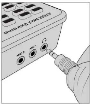 AEM Minimum EXEME MIC 2 MIC 1