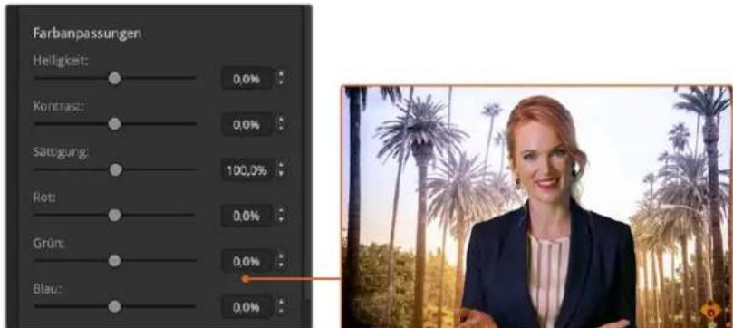 Farbanpassungen Helligkeit: 0,0% Kontrast: 0,0% Sättigung: 100,0% Rot: 0,0% Grün: 0,0% Blau: 0,0%