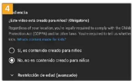 4 adiencia ¿Este video esta creado para niños? (Obligatorio) Regardless of your location, you're legally required to comply with the Childra Protection Act (COPPA) and/or other laws. You're required to tell us whether kids. What's content made for kids? ○ SI, es contenido creado para niños ● No, no es contenido creado para niños ✓ Restricción de edad (avanzado)