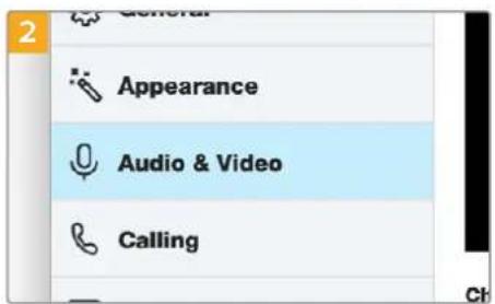 2 General Appearance Audio & Video Calling