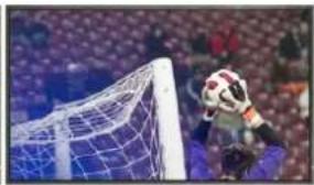 Soccer goalkeeper standing at the goal with a goal net behind, crowd visible in background (no text or symbols)