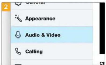 2 General Appearance Audio & Video Calling