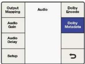 graph TD A["Audio"] --> B["Output Mapping"] B --> C["Audio Gain"] C --> D["Audio Delay"] D --> E["Setup"] F["Dolby Encode"] --> G["Dolby Metadata"] G --> H["→"]