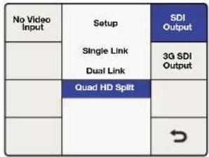 No Video Input Setup Single Link Dual Link SDI Output 3Q SDI Output Quad HD Split →