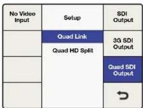 No Video Input Setup SDI Output Quad Link 3G SDI Output Quad HD Split Quad SDI Output →