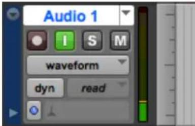 Apogee Symphony I/O Mk II - Enable Input Monitor in Pro Tools - 1