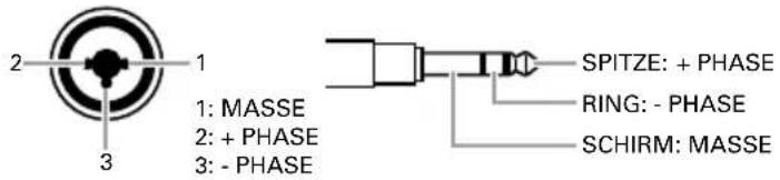 2 1 1: MASSE 2: + PHASE 3: - PHASE SPITZE: + PHASE RING: - PHASE SCHIRM: MASSE