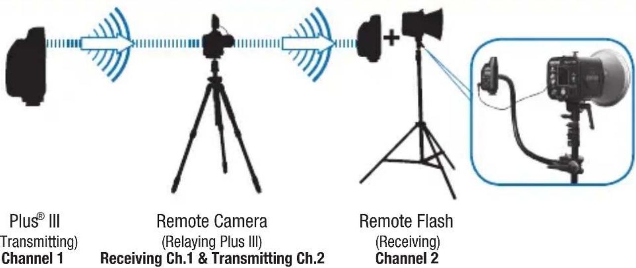 POCKETWIZARD Plus IIIe - Auto-Relay - 2