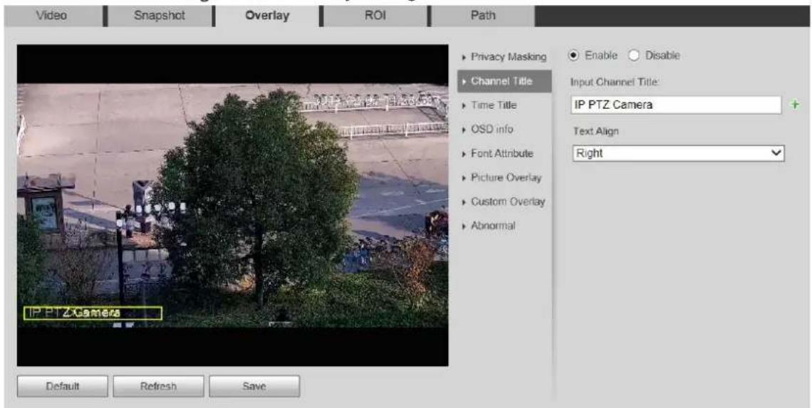 Dahua Technology SD42C212I-HC-S3 - Overlay - 2