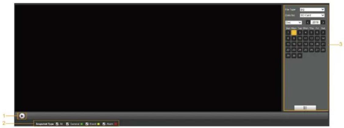 Dahua Technology SD42C212I-HC-S3 - Picture Playback - 1