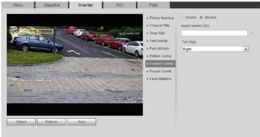 Dahua Technology IPC-HDW5442TM-AS - Configure Custom Overlay - 1