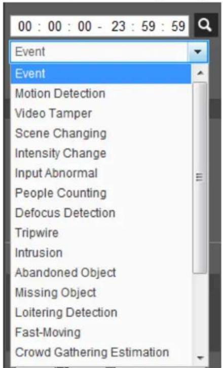 Dahua Technology DH-IPC-HDBW3441E-AS - Playing back Video or Picture - 3