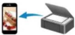 CANON Pixma TR4520 - Scanning - 4