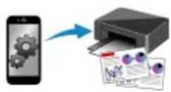 CANON Pixma TR4520 - Copying - 6