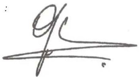 91