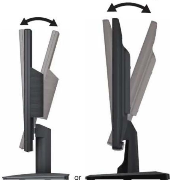 HP N246V - Adjusting the monitor - 1