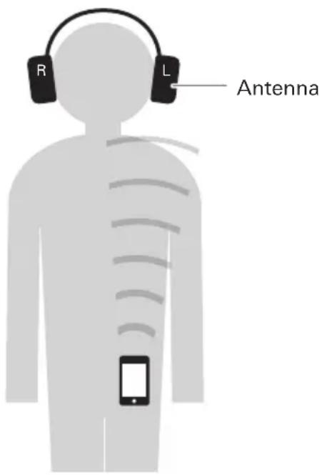 R L Antenna