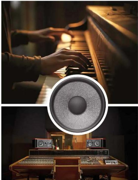 FOCAL Shape Twin - 16