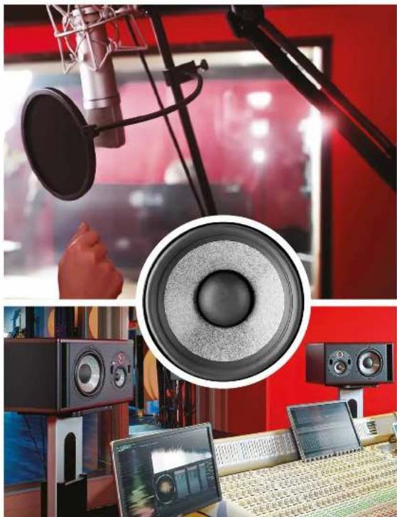FOCAL Shape Twin - TRIO 11 BE - 8