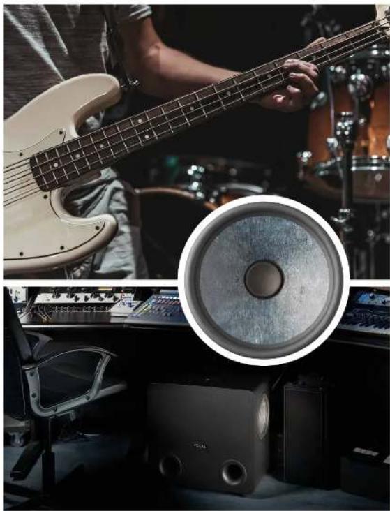 FOCAL Shape Twin - SUB ONE - 8