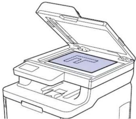 BROTHER HL-L3290CDW - Document Sizes Supported - 2